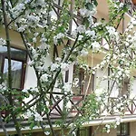 Hotel Tsvit Paporoti 2*