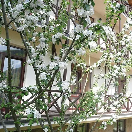 Otel Tsvit Paporoti 2*