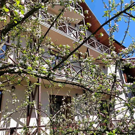 Hotel Tsvit Paporoti