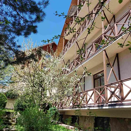 Tsvit Paporoti Hotel 2*