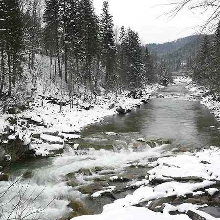 Tsvit Paporoti