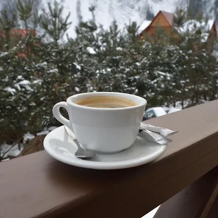 Tsvit Paporoti 2* Jaremtsche