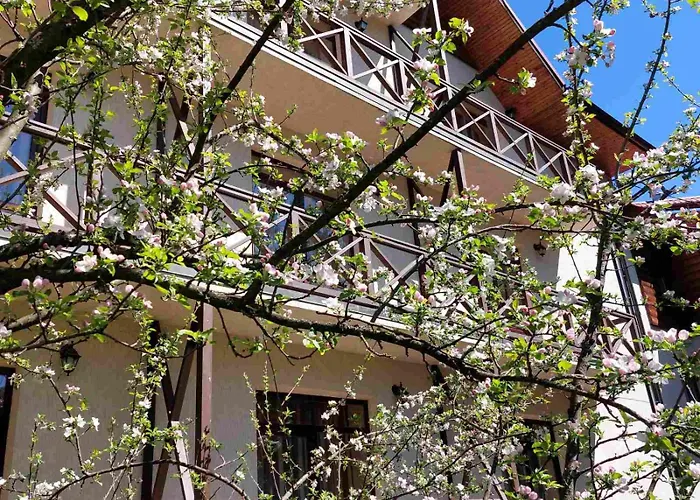 Otel Tsvit Paporoti