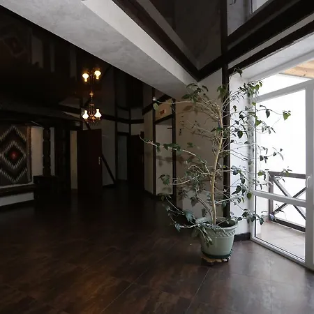 Hotel Tsvit Paporoti Jaremcze
