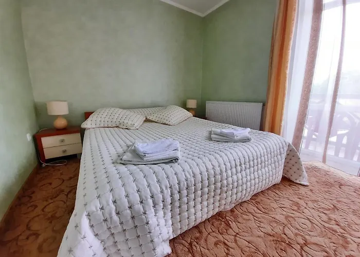 Hotel Tsvit Paporoti 2*